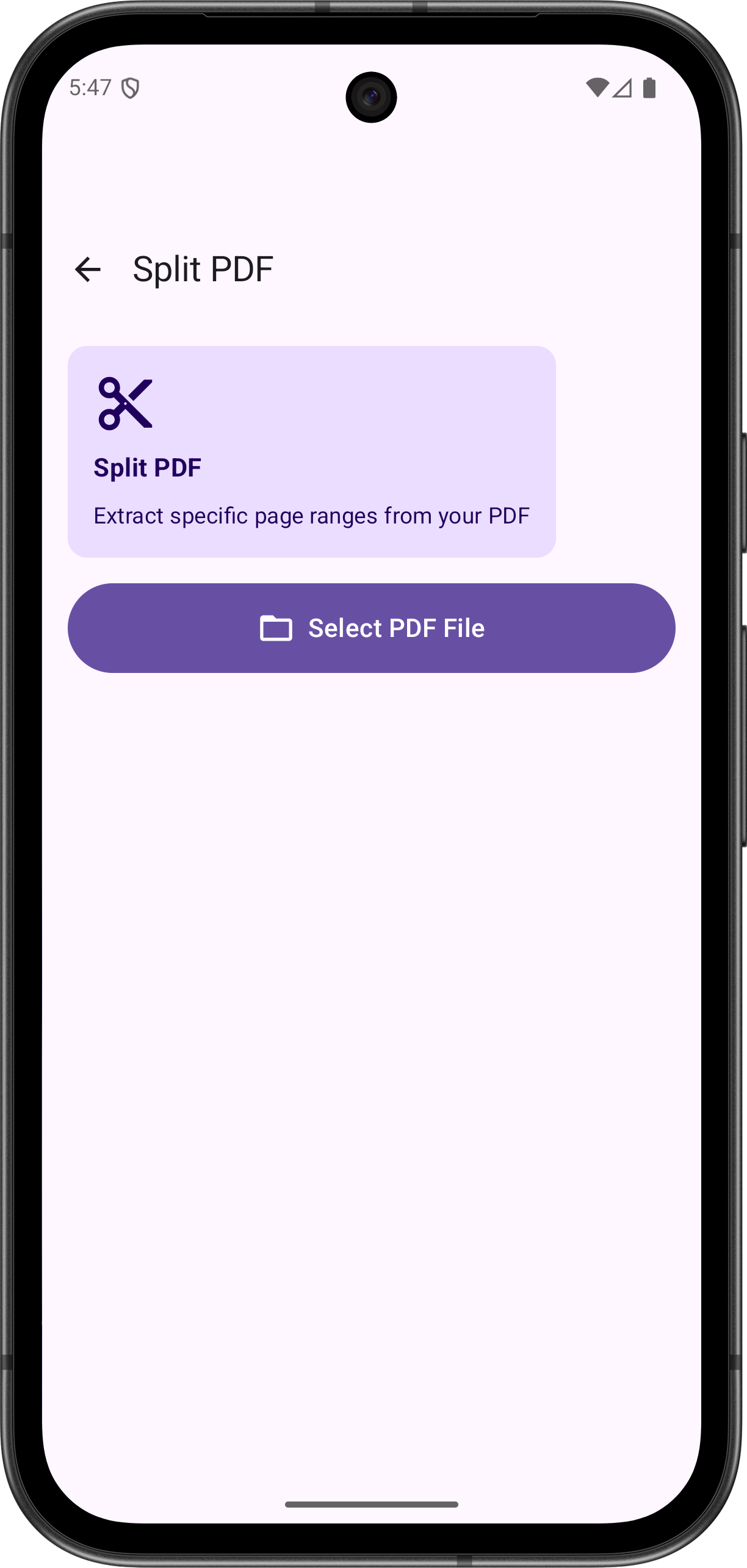 PDF viewer screen